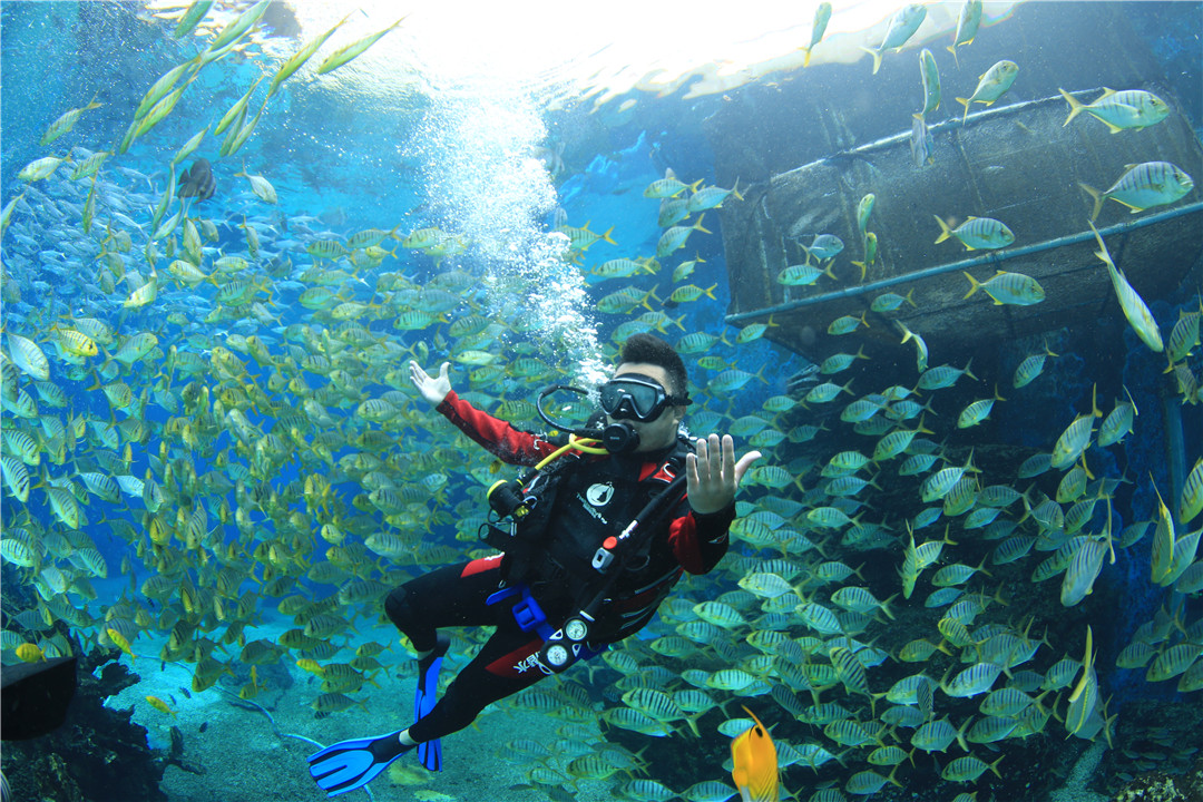 上海水族館養護服務(wù)