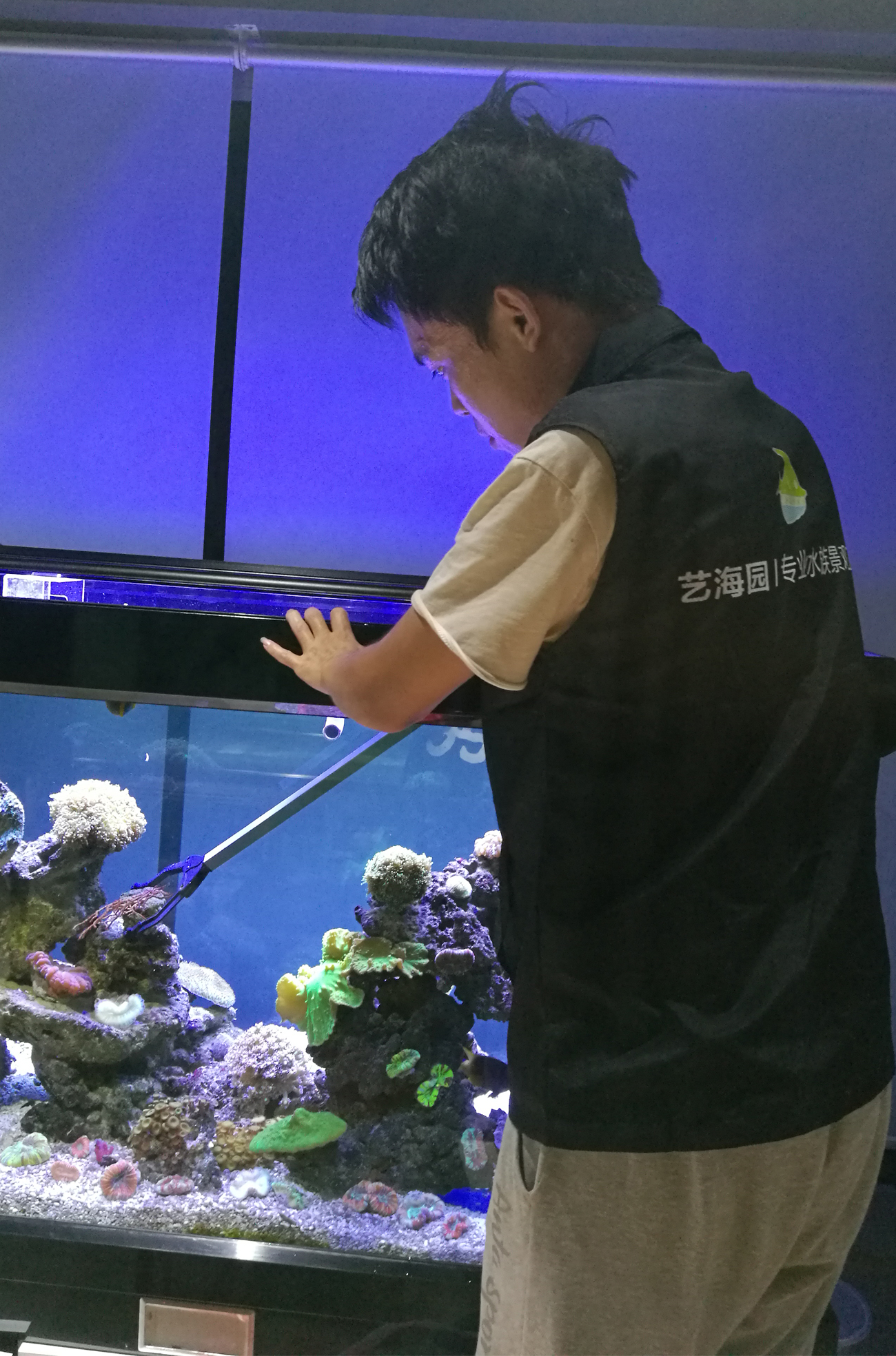 藝海園專業水族館養護