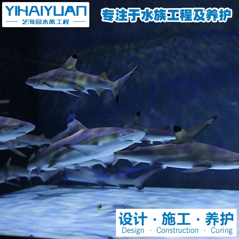 商(shāng)業綜合體(tǐ)水族館