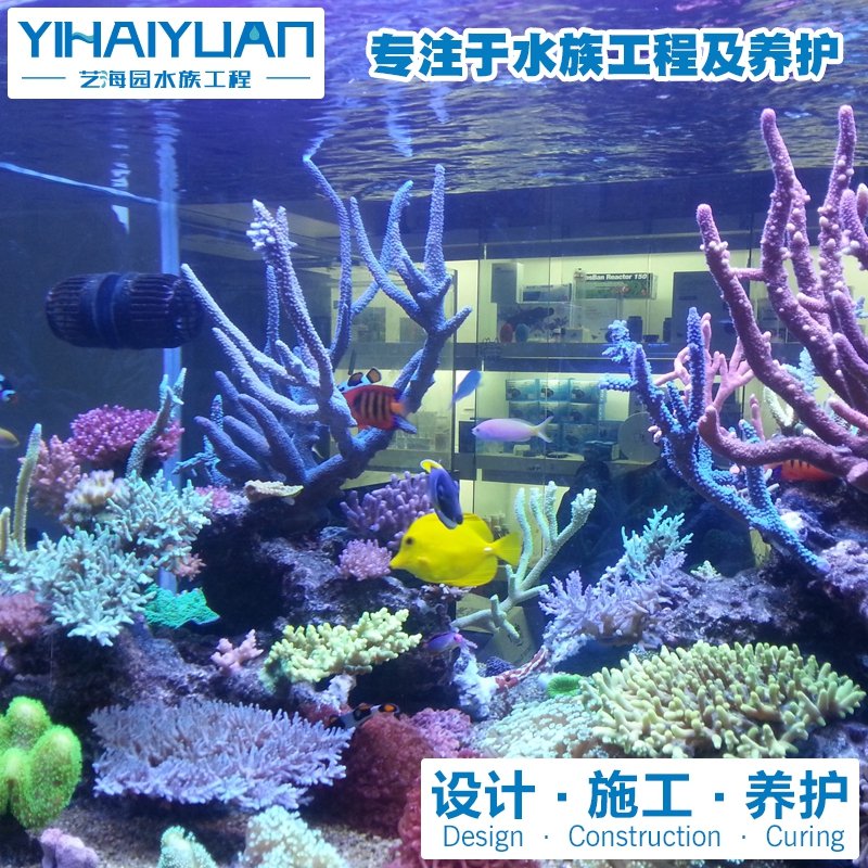 珊瑚魚缸定制