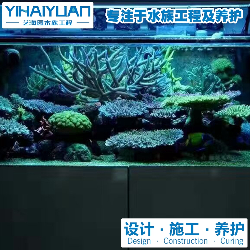 海水魚缸 (7).jpg