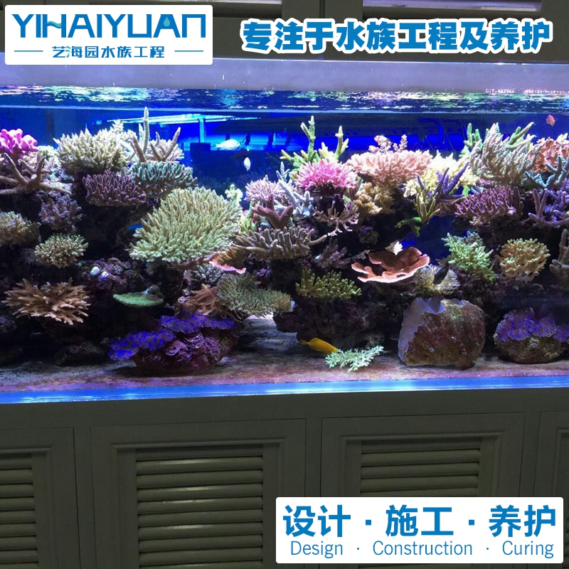 海水魚缸 (6).jpg