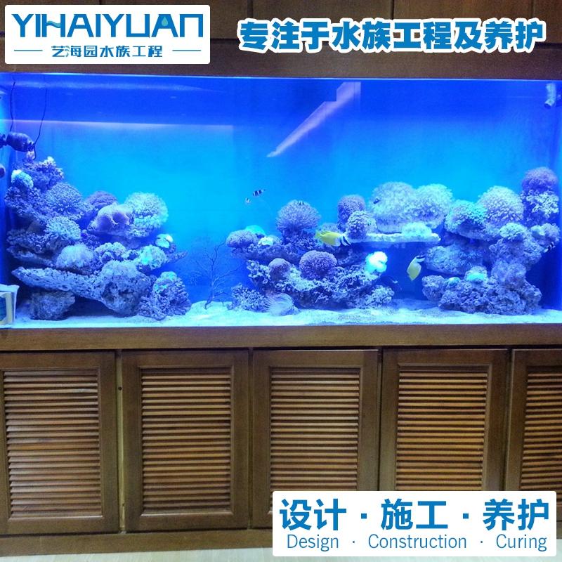 海水魚缸 (13).jpg