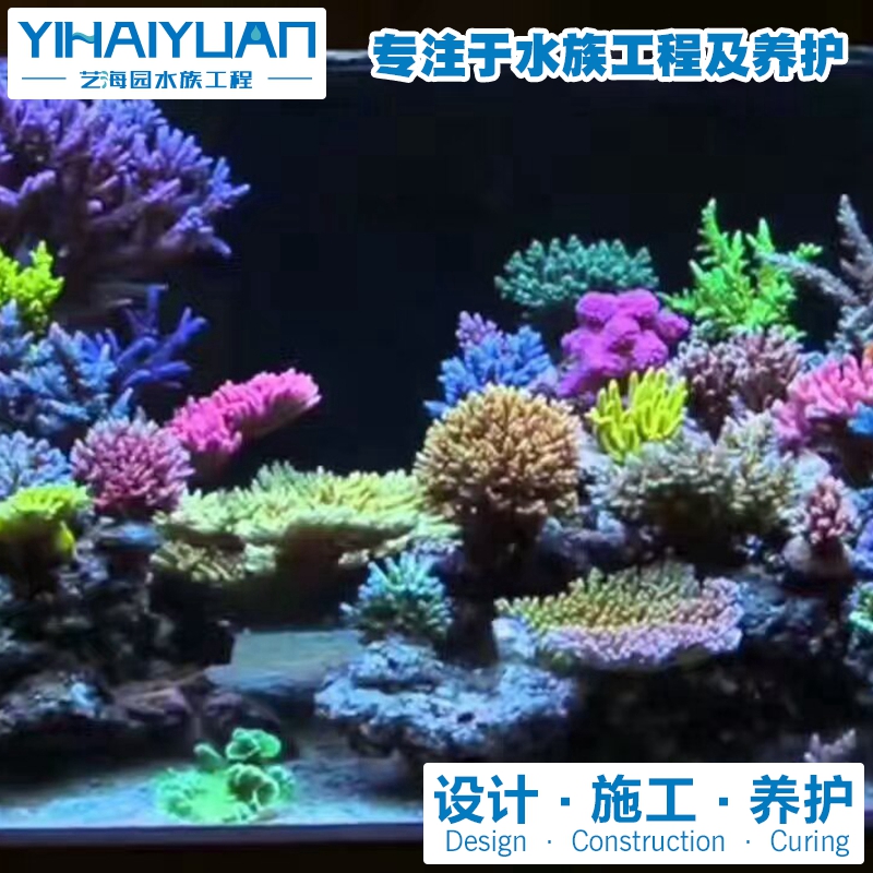 海水魚缸 (9).jpg