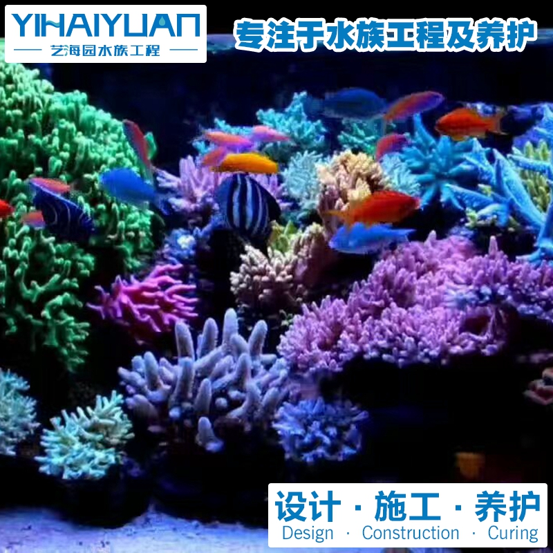 海水魚缸 (10).jpg